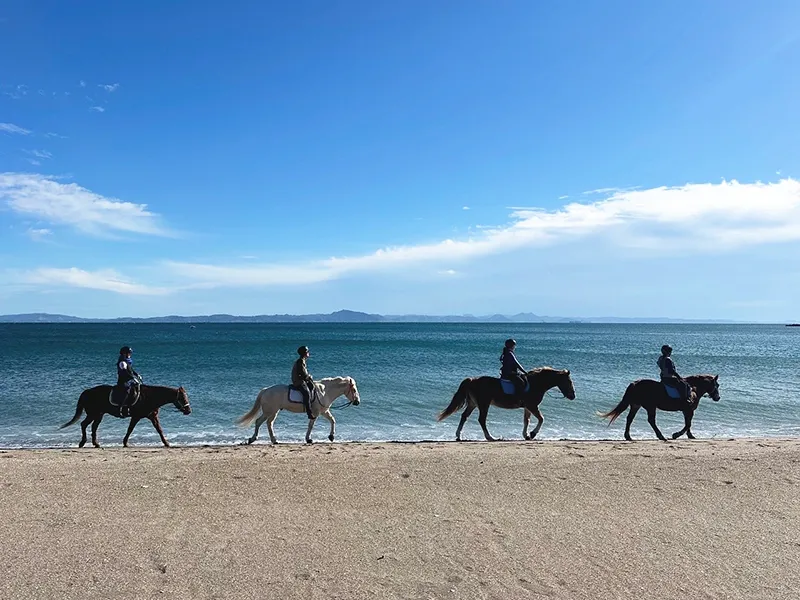 ホーストレッキングファーム三浦海岸