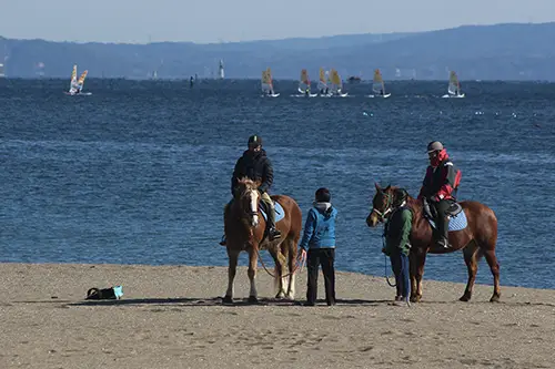 近隣のアクティビティ イメージ